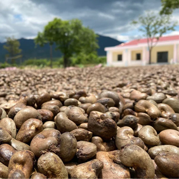 Organic Cashew Butter