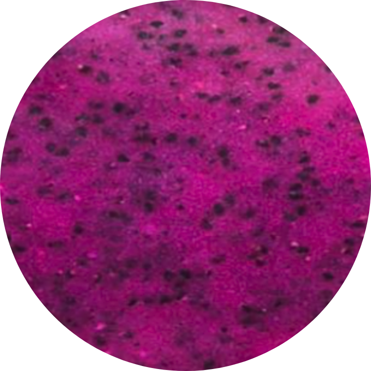 Organic Dragon Fruit