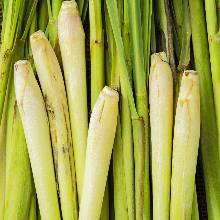 Organic Lemongrass