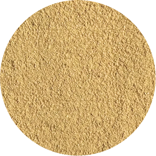 Fine organic ginger powder from Viet Haus, highlighting its light golden hue and intense fragrance.