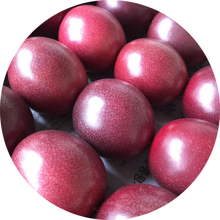 Close-up of a pinkish-red organic passion fruit showing its natural spherical shape and smooth skin texture
