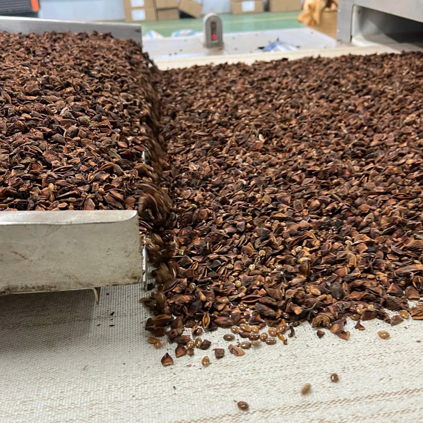 Broken pieces of organic star anise being sorted during processing, showing clean seed pods and dark brown color