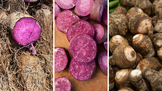 Ube vs. Taro vs. Sweet Potato: The Real Differences Explained