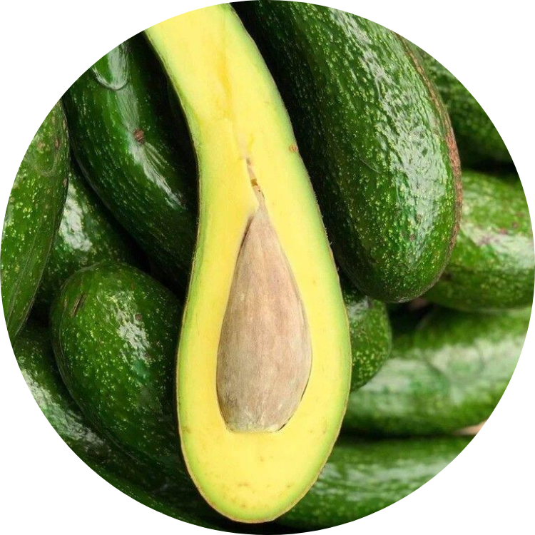 Organic Avocado