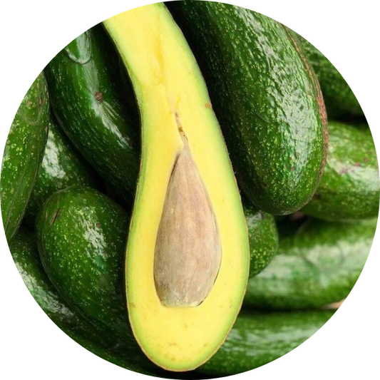 Organic Avocado