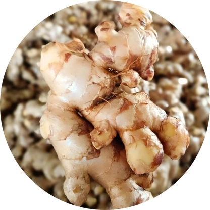 Organic Ginger