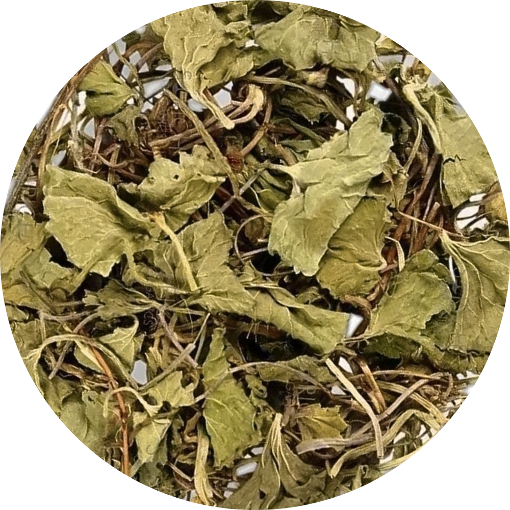 A circular close-up of dried green leaves and thin tan stems mixed together, filling most of the frame against a white background.