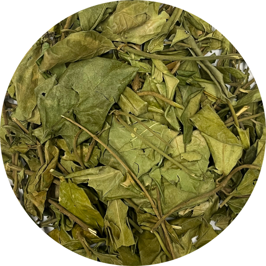 Organic Gymnema Leaf