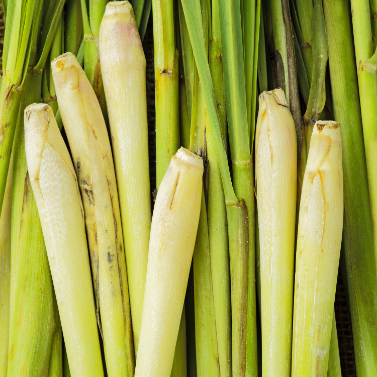 Organic Lemongrass