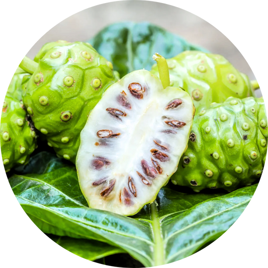 Noni (Morinda citrifolia L.)