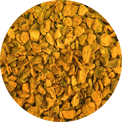 Close-up of organic dried turmeric root chunks