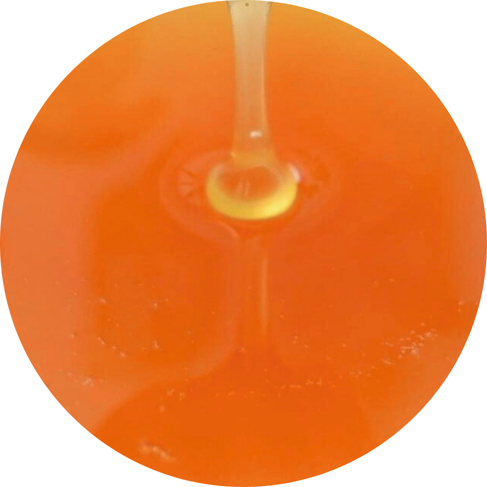 Organic Coconut Flower Nectar