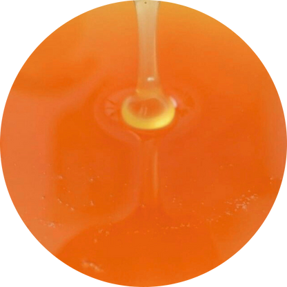 Organic Coconut Flower Nectar