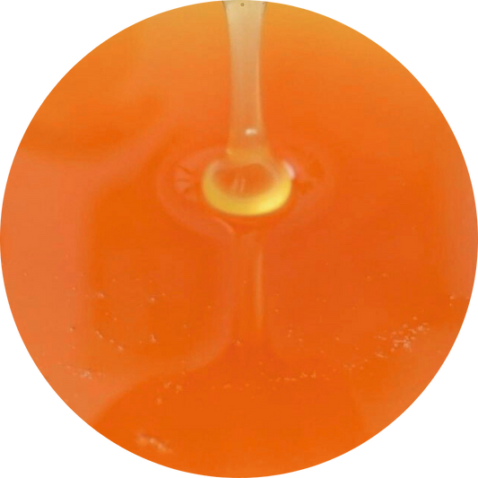 Organic Coconut Flower Nectar