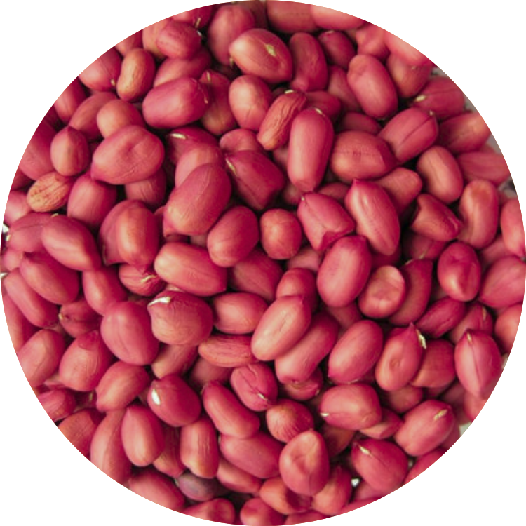 Organic Red Peanut