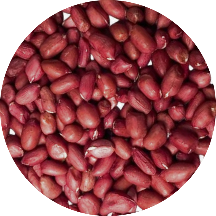 Organic Red Peanut