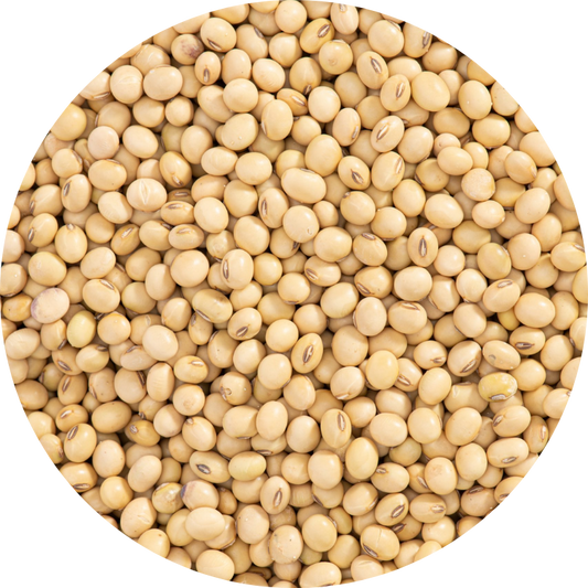 Organic Soybean Powder