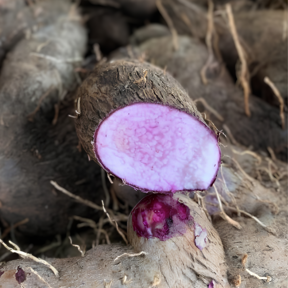 Ube (Purple Yam)