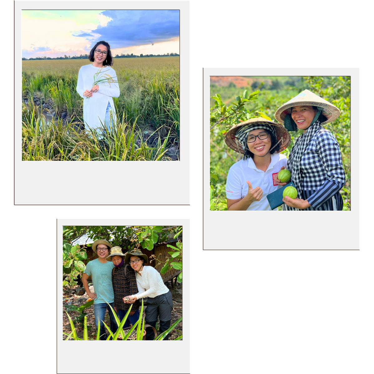 A collage of three Polaroid-style photos showing people outdoors in a rural agricultural setting. The top-left photo shows a woman standing in a field under a dramatic sky.