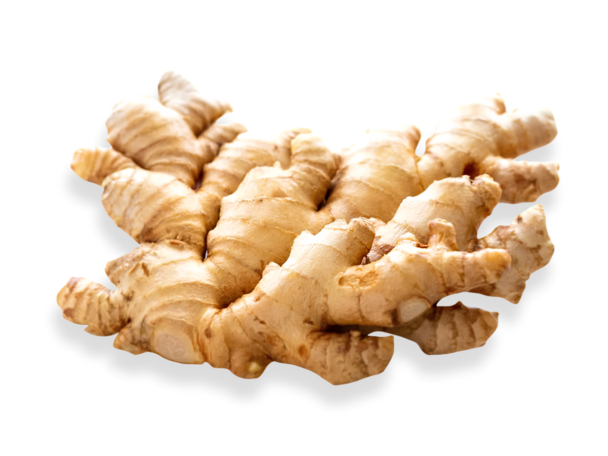A cluster of fresh, knobby ginger roots with natural beige and light brown tones, isolated on a white background.