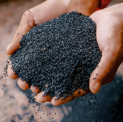 Organic Black Tahini