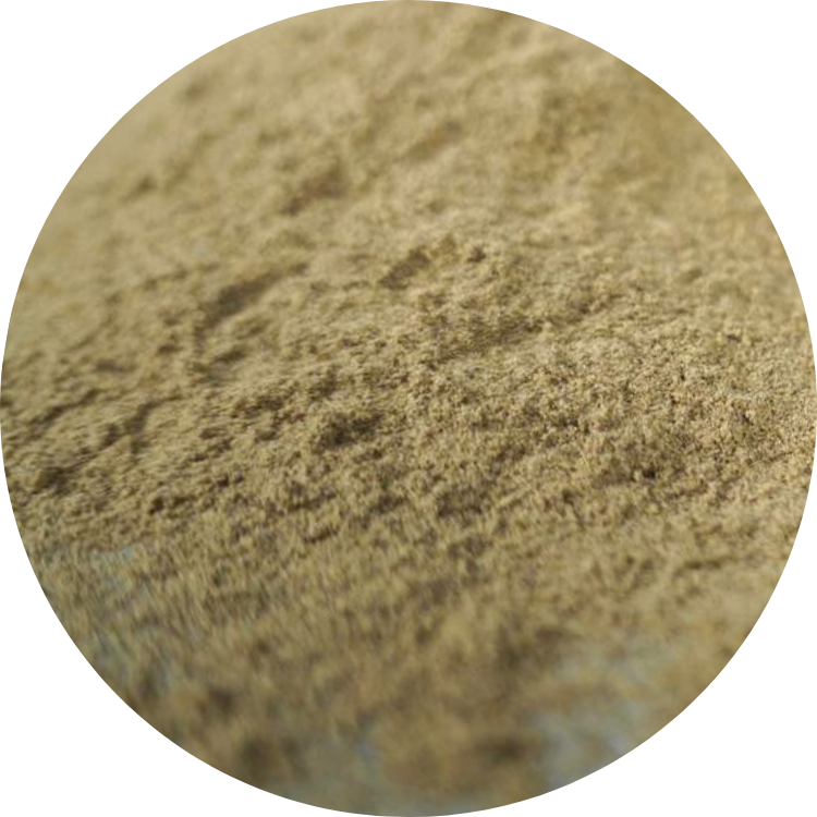 Organic Vinh Linh Pepper