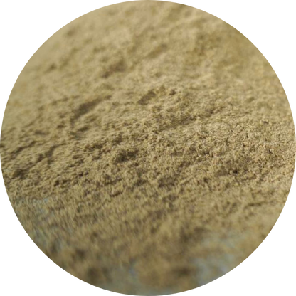 Organic Vinh Linh Pepper