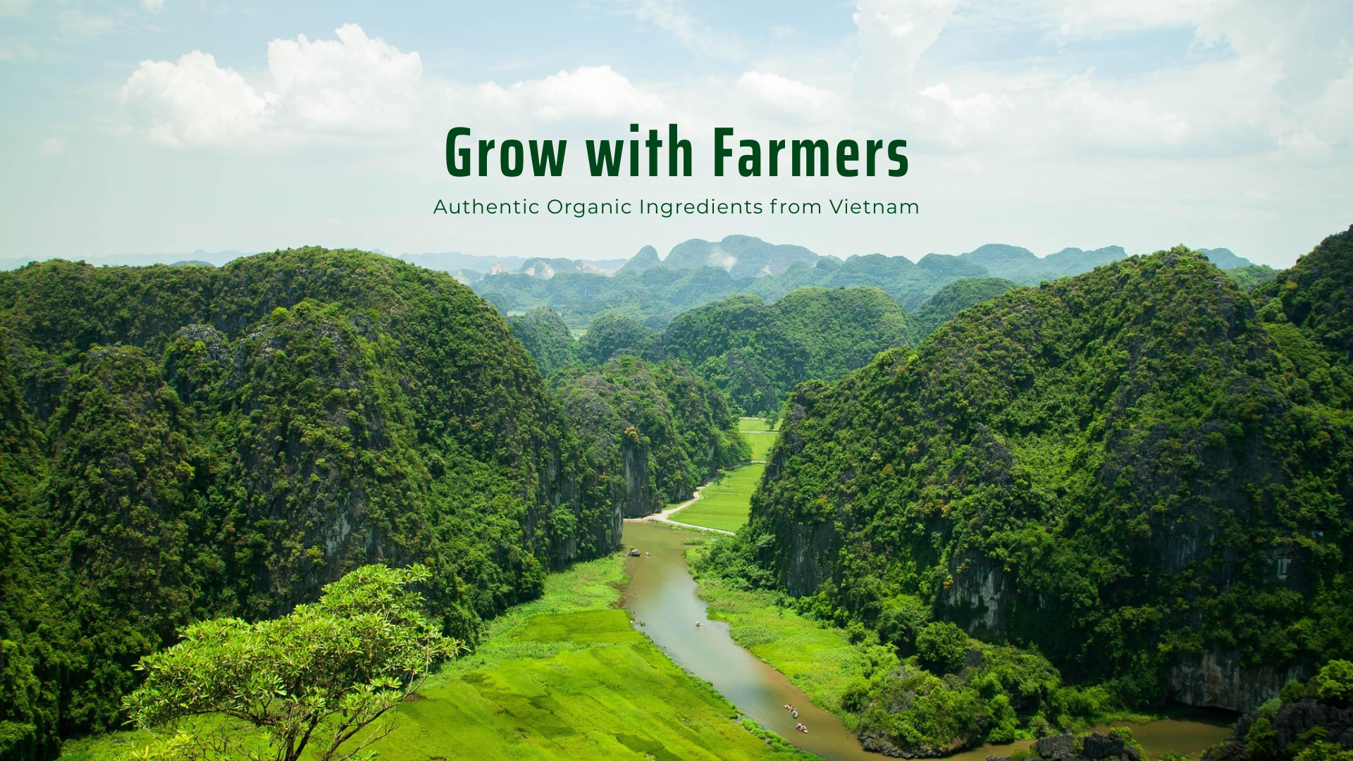 Viet Haus - Grow with Farmers - Authentic Organic Ingredients from Vietnam