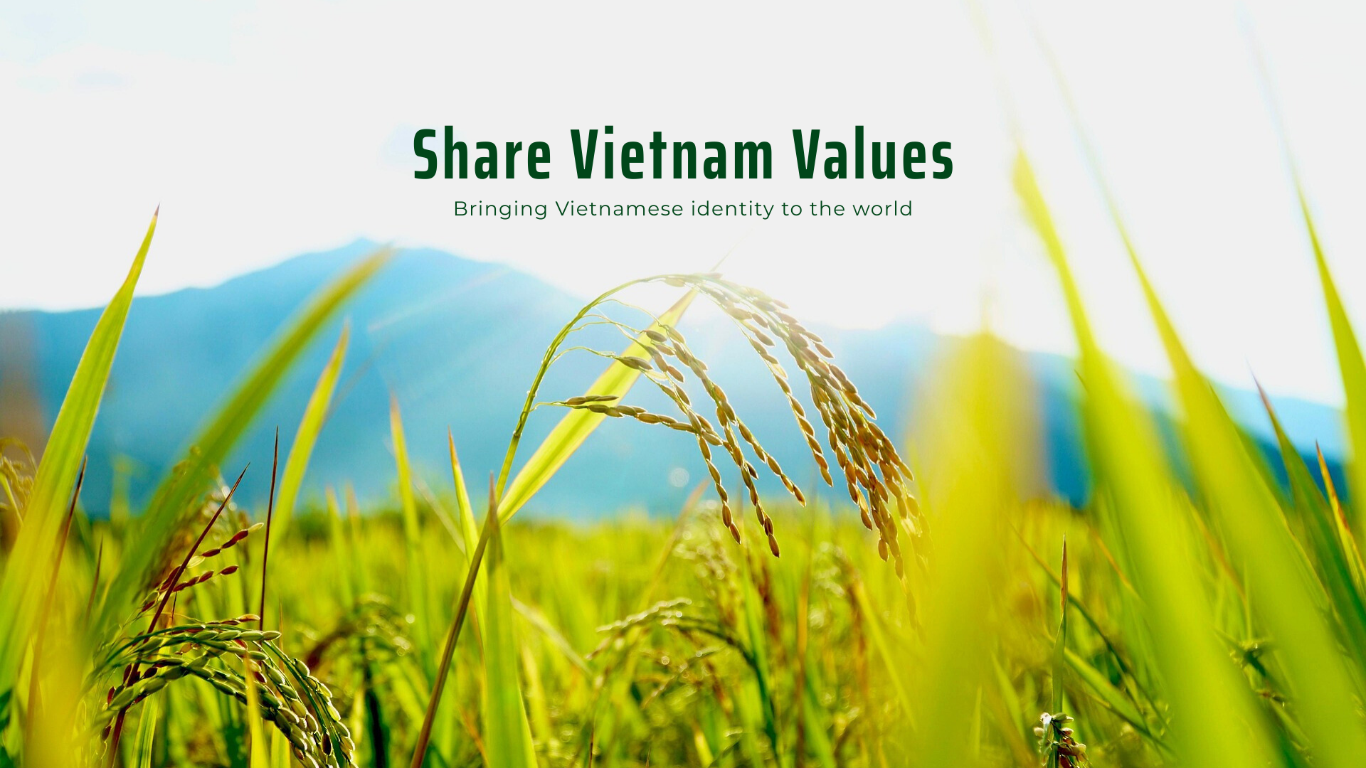 Viet Haus - share Vietnam values - bringing Vietnamese identity to the world