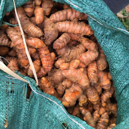 Organic Turmeric