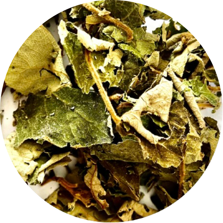 Organic Wild Raspberry Leaf