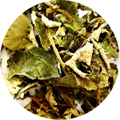 Organic Wild Raspberry Leaf