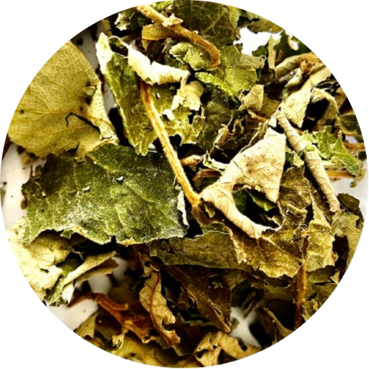 Organic Wild Raspberry Leaf