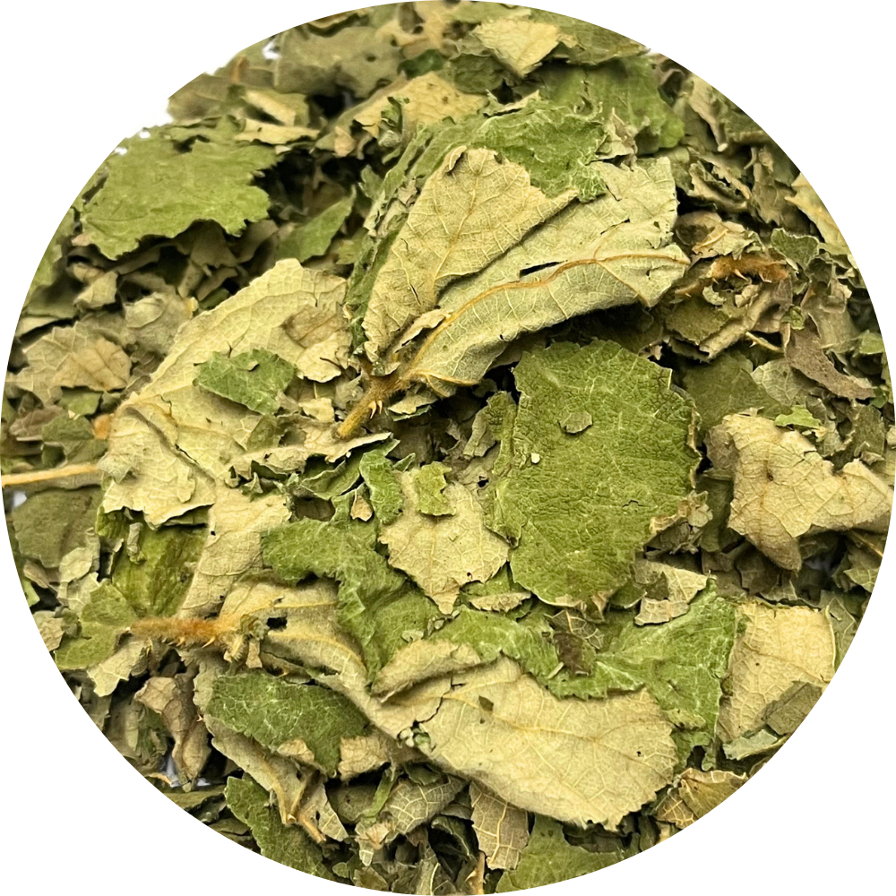 Dried organic green botanical herb leaves - wild raspberry leaf for natural flavoring and herbal infusions.
