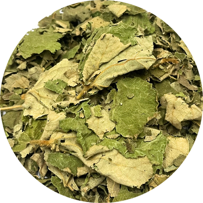 Dried organic green botanical herb leaves - wild raspberry leaf for natural flavoring and herbal infusions.