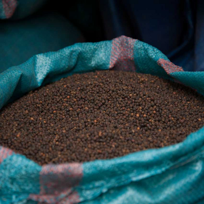 Organic Vinh Linh Pepper