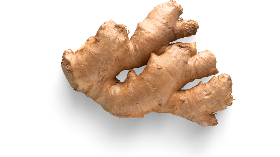 Large, robust Buffalo ginger variety from Viet Haus featuring thick skin and a potent spicy aroma.
