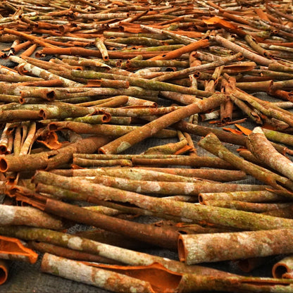 Stack of dried cinnamon sticks with a brown and orange color.