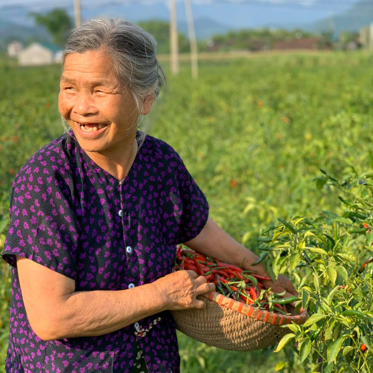 Organic Chili