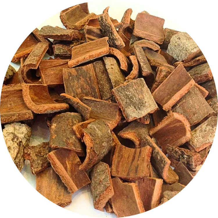 Uniform square-cut pieces of organic Vietnamese cinnamon bark with clean edges and natural brown color