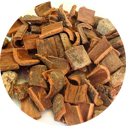 Uniform square-cut pieces of organic Vietnamese cinnamon bark with clean edges and natural brown color