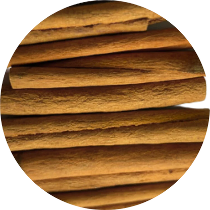 Close-up of dried organic cinnamon sticks with a warm brown color