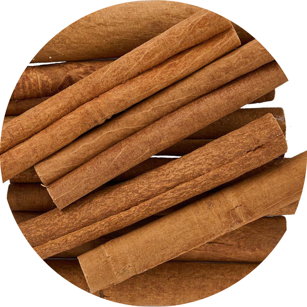 Smooth, thick-bark Viet Haus organic forest cassia cinnamon sticks naturally curled after sun-drying, sourced from Northeast Vietnam