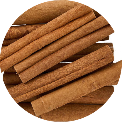 Smooth, thick-bark Viet Haus organic forest cassia cinnamon sticks naturally curled after sun-drying, sourced from Northeast Vietnam