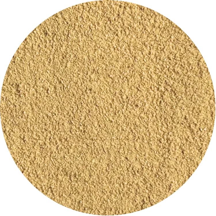 Fine organic ginger powder from Viet Haus, highlighting its light golden hue and intense fragrance.