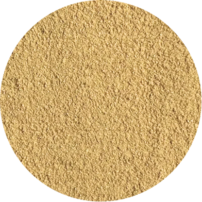 Fine organic ginger powder from Viet Haus, highlighting its light golden hue and intense fragrance.