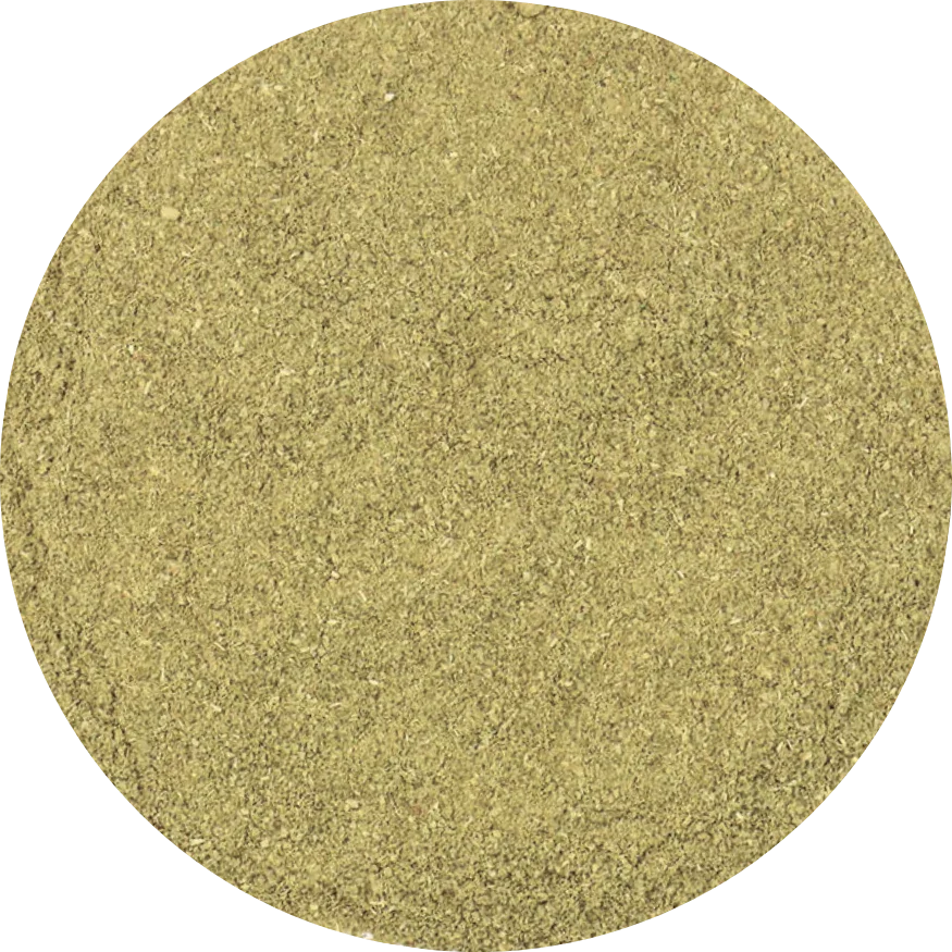 Dried whole leaf organic Gotu Kola from Vietnam, kept green and intact for tea and herbal use