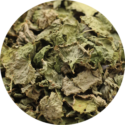 whole dried organic Gotu Kola from Viet Haus, carefully preserved to retain its natural green color and potent herbal properties