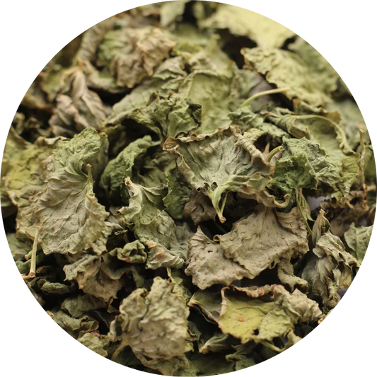 whole dried organic Gotu Kola from Viet Haus, carefully preserved to retain its natural green color and potent herbal properties