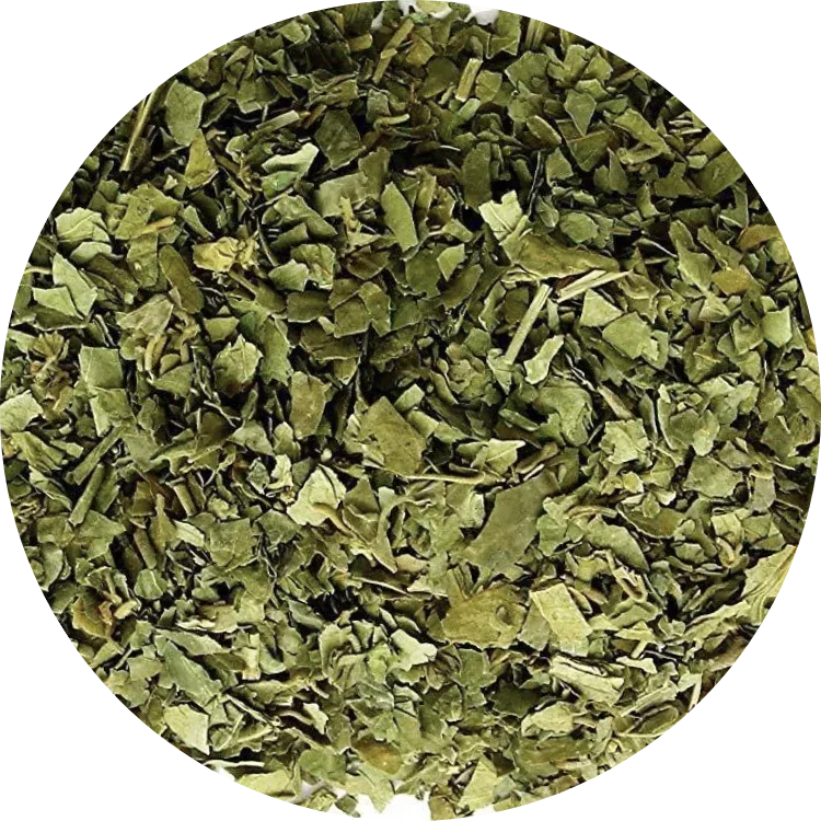 Dried organic gymnema sylvestre leaves, cut and sifted for herbal tea and supplements from Vietnam.